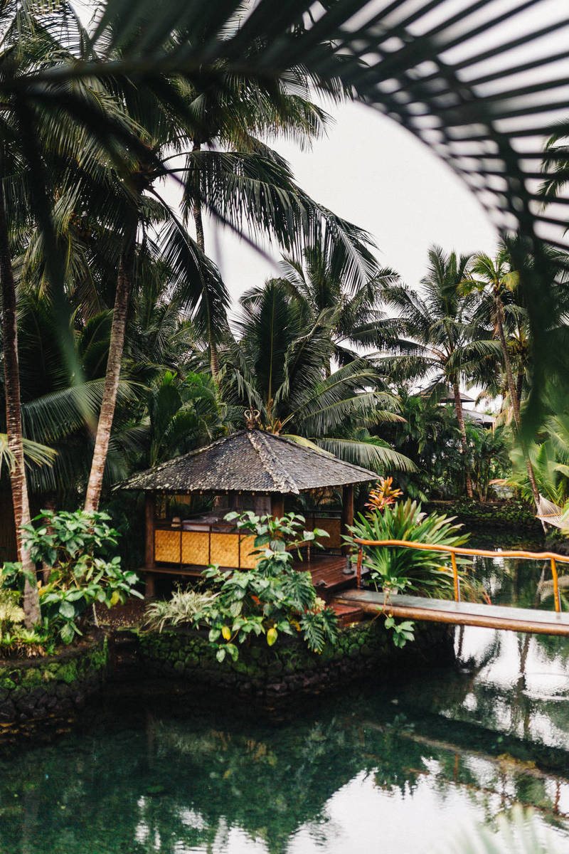 Depositphotos_513688372_XL-1