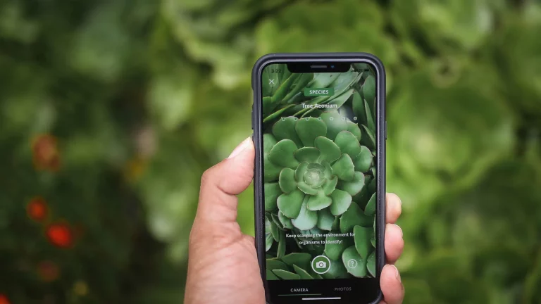 Mejores aplicaciones para averiguar el nombre de una planta con el teléfono